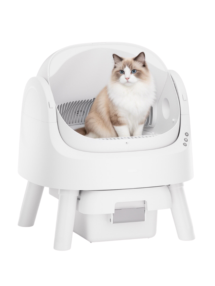 AutoScooper 12 Cat Litter Box